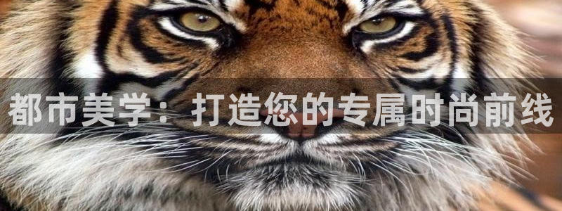 开丰娱乐更多平台