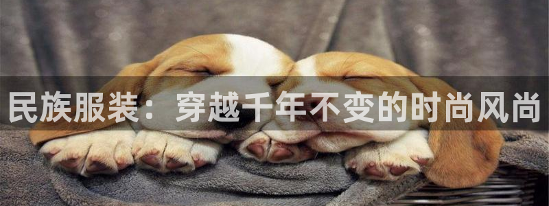 开丰娱乐平台注册