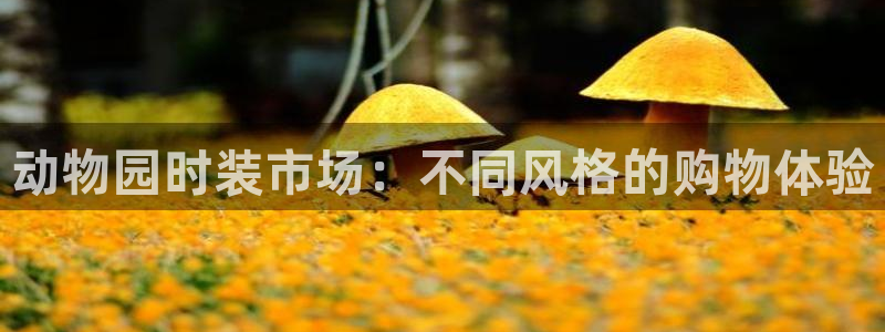 开丰娱乐最新活动