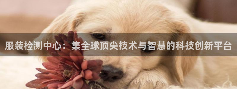 开丰娱乐平台地址在哪里