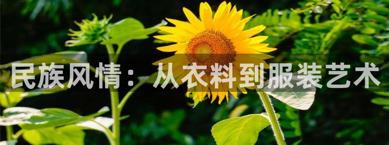 开丰娱乐官网登录平台